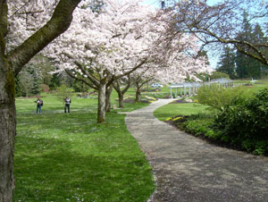 スタンリーパーク　(写真提供Vancouver Park Board)